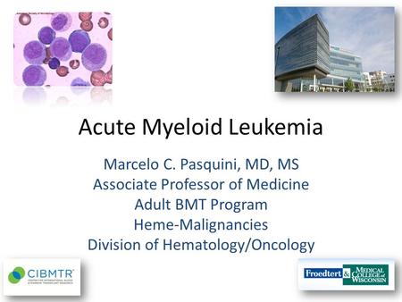 Acute Myeloid Leukemia