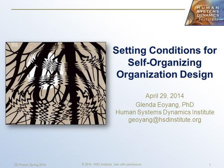 Setting Conditions for Self-Organizing Organization Design April 29, 2014 Glenda Eoyang, PhD Human Systems Dynamics Institute