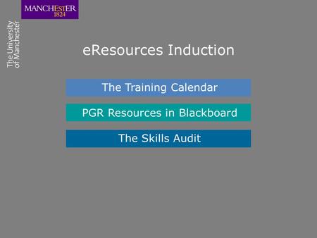 EResources Induction The Training Calendar PGR Resources in Blackboard The Skills Audit.