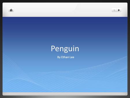 Penguin By Ethan Lee. Penguin family Penguins live in groups called colonies. Sounds in a colony are very important. Penguins communicate by different.