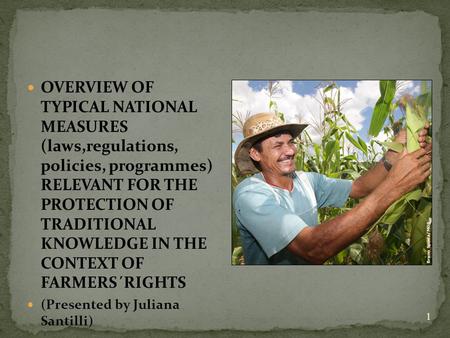 OVERVIEW OF TYPICAL NATIONAL MEASURES (laws,regulations, policies, programmes) RELEVANT FOR THE PROTECTION OF TRADITIONAL KNOWLEDGE IN THE CONTEXT OF FARMERS´RIGHTS.