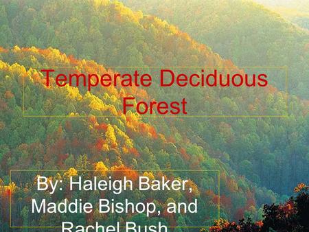 Temperate Deciduous Forest By: Haleigh Baker, Maddie Bishop, and Rachel Bush.