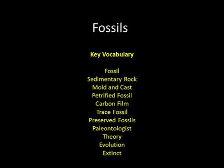 Fossils Key Vocabulary Fossil Sedimentary Rock Mold and Cast