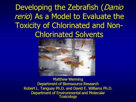 Developing the Zebrafish (Danio rerio) As a Model to Evaluate the Toxicity of Chlorinated and Non-Chlorinated Solvents Matthew Wenning Department of Bioresource.