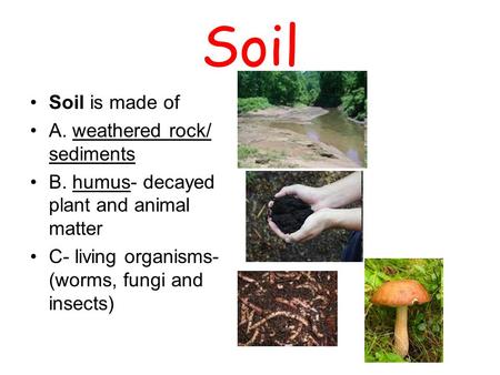 Soil Soil is made of A. weathered rock/ sediments