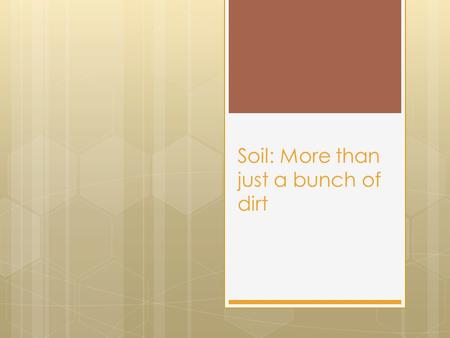Soil: More than just a bunch of dirt