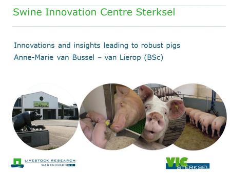 Swine Innovation Centre Sterksel Innovations and insights leading to robust pigs Anne-Marie van Bussel – van Lierop (BSc)