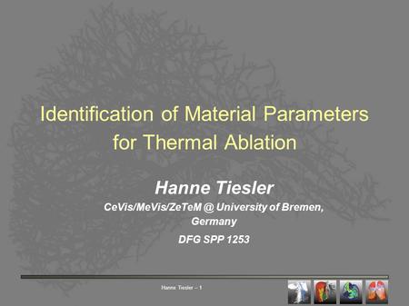Hanne Tiesler – 1 Identification of Material Parameters for Thermal Ablation Hanne Tiesler University of Bremen, Germany DFG SPP 1253.
