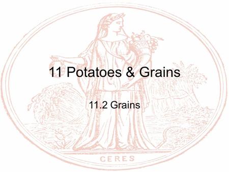 11 Potatoes & Grains 11.2 Grains.