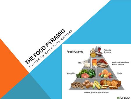 THE FOOD PYRAMID A GUIDE TO DAILY FOOD CHOICES. KEY TERMS  Nutrients  Whole grain  Refined grains.