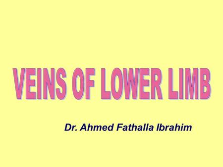 VEINS OF LOWER LIMB Dr. Ahmed Fathalla Ibrahim.