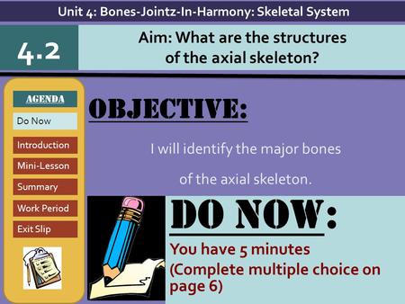Objective: I will identify the major bones of the axial skeleton.