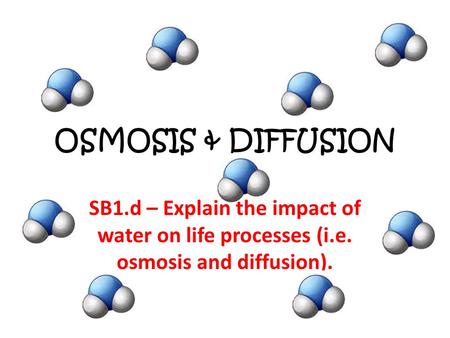 OSMOSIS & DIFFUSION SB1.d – Explain the impact of water on life processes (i.e. osmosis and diffusion).