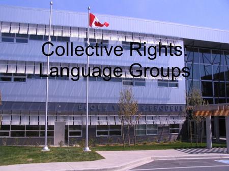 Collective Rights: Language Groups. Terminology Francophone: a person whose first language is French Anglophone: a person whose first language is English.