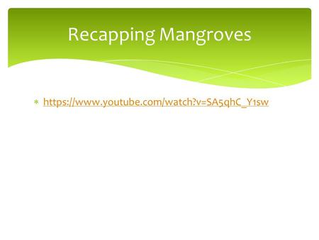 Recapping Mangroves https://www.youtube.com/watch?v=SA5qhC_Y1sw.