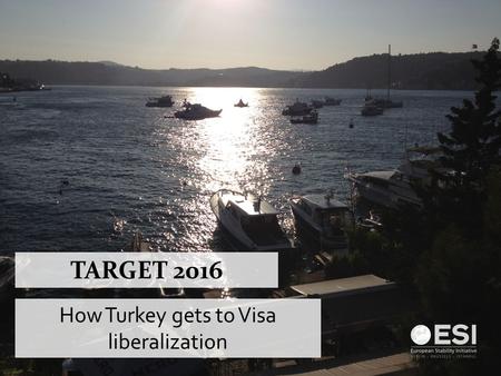 TARGET 2016 How Turkey gets to Visa liberalization.