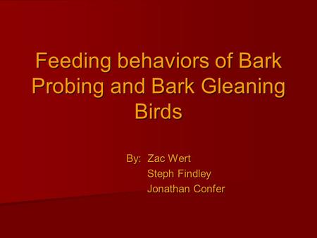 Feeding behaviors of Bark Probing and Bark Gleaning Birds By: Zac Wert Steph Findley Steph Findley Jonathan Confer Jonathan Confer.