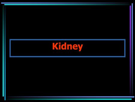 Kidney.