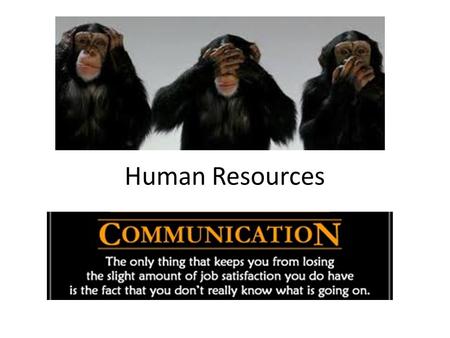 Human Resources. To understand what are meant by effective communication and feedback Analyse the advantages and disadvantages of different communication.
