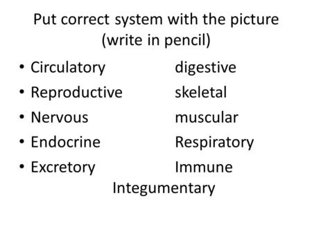 Put correct system with the picture (write in pencil)