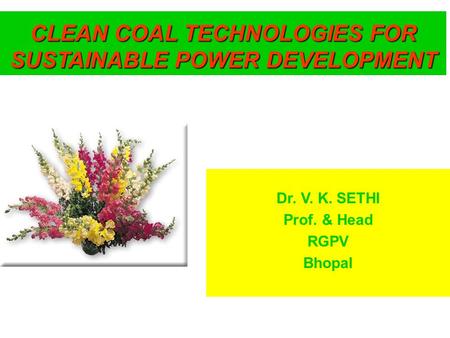 CLEAN COAL TECHNOLOGIES FOR SUSTAINABLE POWER DEVELOPMENT