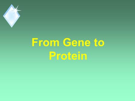 From Gene to Protein. Question? u How does DNA control a cell? u By controlling Protein Synthesis. u Proteins are the link between genotype and phenotype.