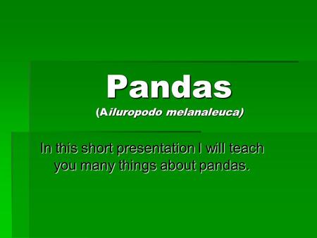 Pandas (Ailuropodo melanaleuca) In this short presentation I will teach you many things about pandas.
