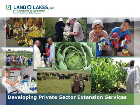 Developing Private Sector Extension Services. Outline Developing Private Sector Extension Services Thomas J. Herlehy, Ph.D. Land O’Lakes, Inc. – Winfield.