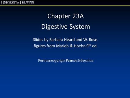 Chapter 23A Digestive System Slides by Barbara Heard and W. Rose.