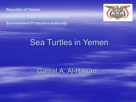Gamal A. Al-Harrani Sea Turtles in Yemen Republic of Yemen Ministry of Water and Environment Environment Protection Authority.