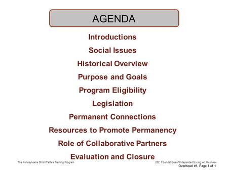 Introductions Social Issues Historical Overview Purpose and Goals Program Eligibility Legislation Permanent Connections Resources to Promote Permanency.