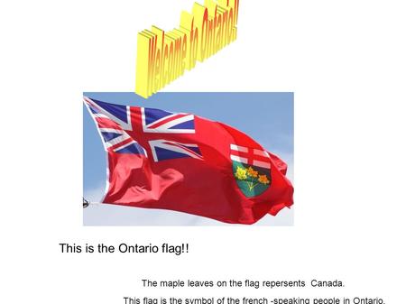 This is the Ontario flag!! The maple leaves on the flag repersents Canada. This flag is the symbol of the french -speaking people in Ontario.