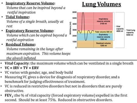 Lung Volumes Inspiratory Reserve Volume: