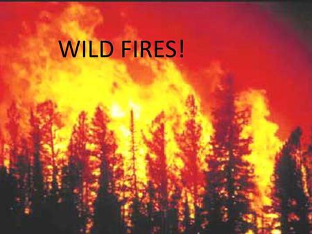 WILD FIRES!. Where to go. If there is a wild fire close by you should evacuate before it gets to your home. Remember to have a smoke detector. =)