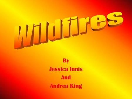 By Jessica Innis And Andrea King. When the native people were living in tribes, wildfires were very common. They would occur around grassy and forested.