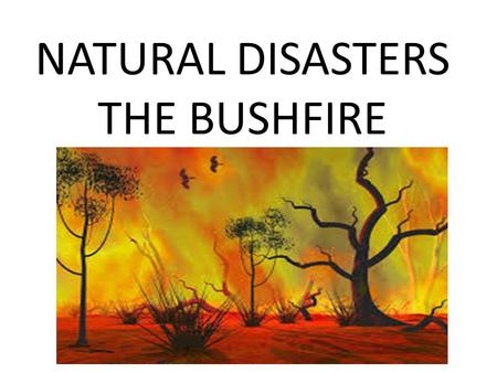 NATURAL DISASTERS THE BUSHFIRE. How do bushfires start?? Bushfires are often very large and burn large areas of land. To start bushfires and wildfires.