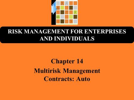 RISK MANAGEMENT FOR ENTERPRISES AND INDIVIDUALS Chapter 14 Multirisk Management Contracts: Auto.