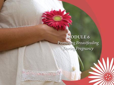 Core Competencies Encourages pregnant women to breastfeed and promotes the food packages available for breastfeeding women and their infants. Assesses.