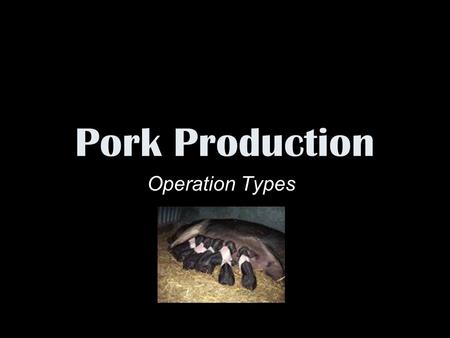 Pork Production Operation Types. Farrow Weaner Finisher Farrow to Wean Farrow to Finish.