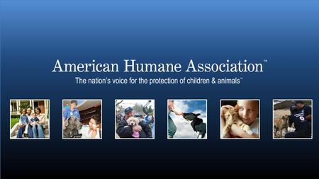 www.americanhumane.org 2 The oldest humane organization 3 Since 1877…. At the forefront of every major advance in the protection of children and animals.