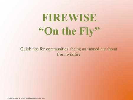 FIREWISE “On the Fly” © 2012 Carrie A. Wiss and Idaho Firewise, Inc. Quick tips for communities facing an immediate threat from wildfire.