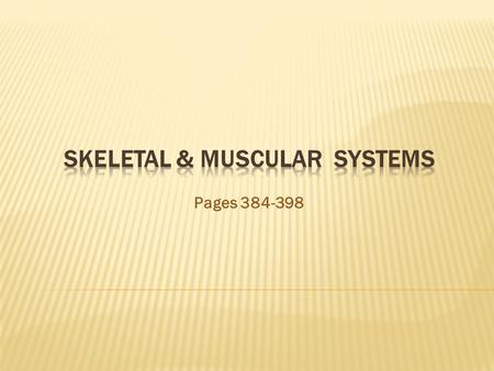 SKELETAL & MUSCULAR SYSTEMS