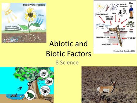 Abiotic and Biotic Factors 8 Science. What is the difference? Abiotic and biotic factors are features of the environment Biotic factors: – ‘bio’ = living.