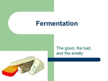 Fermentation The good, the bad, and the smelly. History of Fermentation Age old applications: 1. Wine/ Beer/ Spirits 2. Cheese and Yoghurt Louis Pasteur: