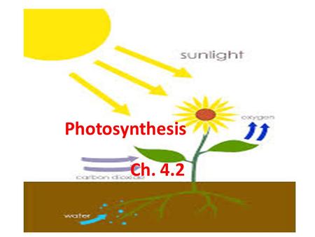 Ch. 4.2 Photosynthesis. I. The Nature of Light A. The Sun is the source of energy on Earth. 1. The light you see is white light. 2. Light passing through.