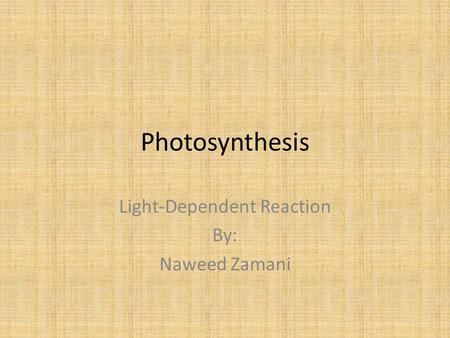 Photosynthesis Light-Dependent Reaction By: Naweed Zamani.