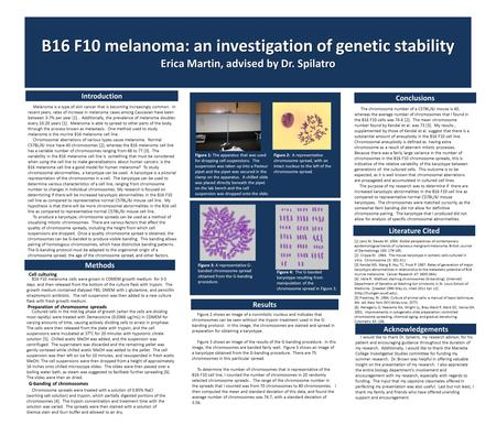 B16 F10 melanoma: an investigation of genetic stability Erica Martin, advised by Dr. Spilatro Introduction Melanoma is a type of skin cancer that is becoming.