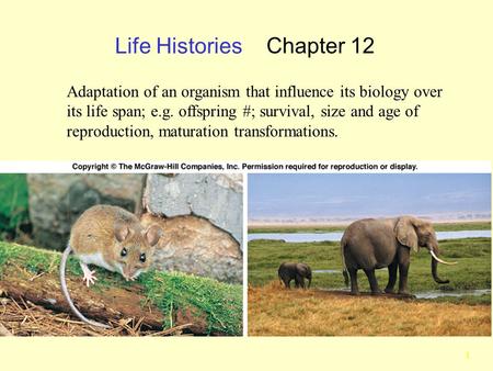Life Histories Chapter 12