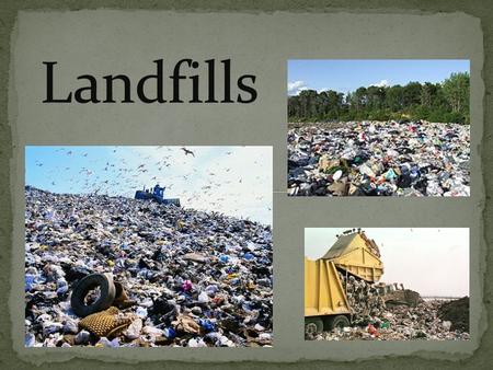 Under knowledge, list in point form 2-3 things that you already know about landfill ecosystems.