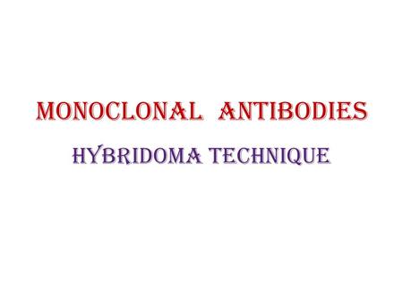 Monoclonal antibodies Hybridoma Technique. Monoclonal antibodies (mAb or moAb) Monoclonal antibodies are:  monospecific antibodies that are identical.